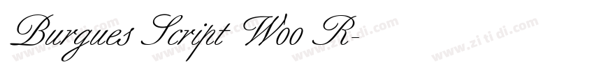 Burgues Script W00 R字体转换